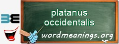 WordMeaning blackboard for platanus occidentalis